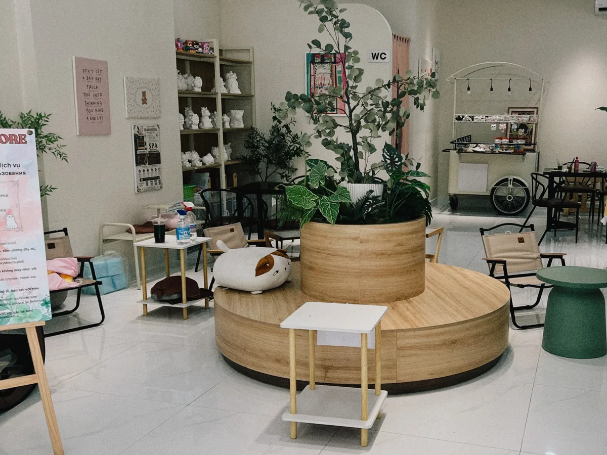 Warm, plant filled seating inside CAT Coffee & More